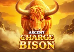 Charge Bison Ascent - Spin City - Namibia