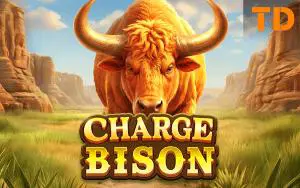 Charge Bison - Spin City - Namibia
