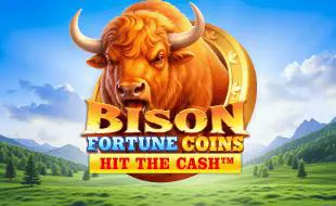 Bison Fortune Coins - Spin City - Namibia