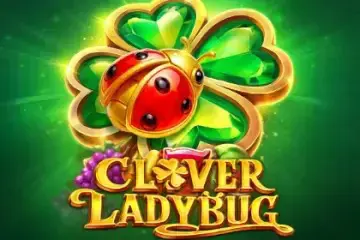 Clover Ladybug - Spin City - Namibia