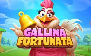 Gallina Fortunata - Spin City - Namibia