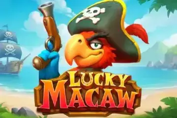 Lucky Macaw - Spin City - Namibia