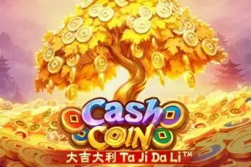 Cash Coin - Spin City - Namibia