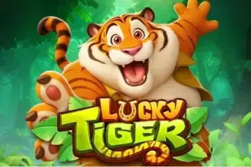 Lucky Tiger - Spin City - Namibia