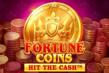 Fortune Coins - Spin City - Namibia