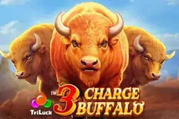 3 Charge Buffalo - Spin City - Namibia