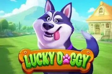 Lucky Doggy - Spin City - Namibia