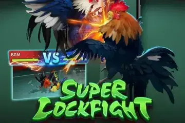Super Cockfight - Spin City - Namibia