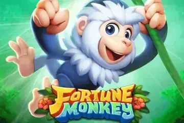Fortune Monkey - Spin City - Namibia