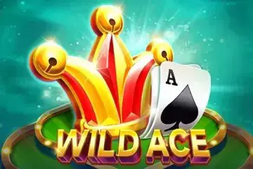 Wild Ace - Spin City - Namibia