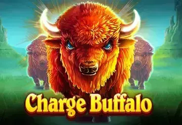 Charge Buffalo - Spin City - Namibia