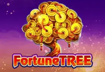 Fortune Tree - Spin City - Namibia
