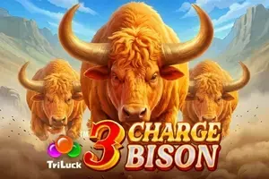 3 Charge Bison - Spin City - Namibia