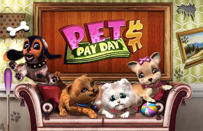 Pets Pay Day - Spin City - Namibia