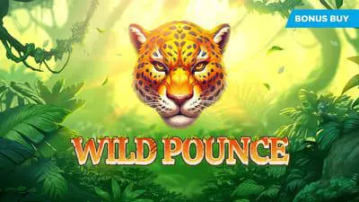 Wild Pounce - Spin City - Namibia
