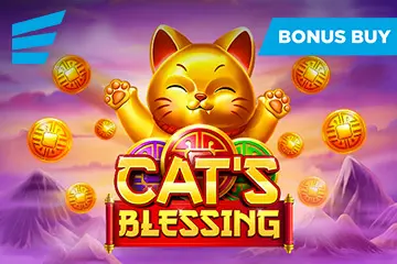 Cat's Blessing - Spin City - Namibia