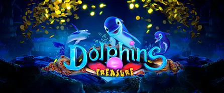 Dolphins Treasure - Spin City - Namibia