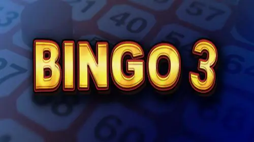 Bingo 3