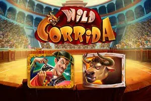 Wild Corrida - Spin City - Namibia