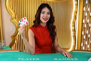 No Commission Baccarat - Spin City - Namibia