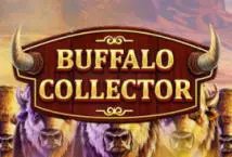 Buffalo Collector - Spin City - Namibia