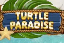 Turtle Paradise - Spin City - Namibia
