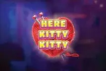 Here Kitty Kitty - Spin City - Namibia