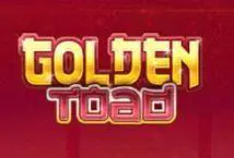 Golden Toad - Spin City - Namibia