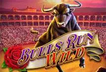 Bulls Run Wild - Spin City - Namibia