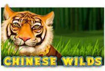 Chinese Wilds - Spin City - Namibia