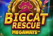 Big Cat Rescue Megaways - Spin City - Namibia