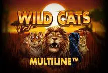 Wild Cats Multiline - Spin City - Namibia