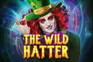The Wild Hatter - Spin City - Namibia