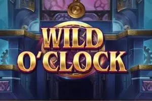 Wild O Clock - Spin City - Namibia