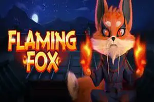 Flaming Fox - Spin City - Namibia