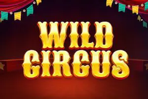 Wild Circus - Spin City - Namibia