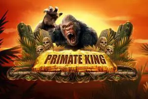 Primate King - Spin City - Namibia