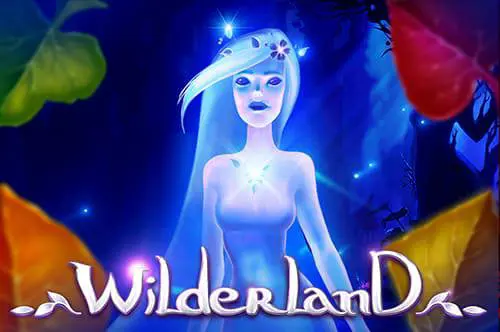 Wilderland - Spin City - Namibia