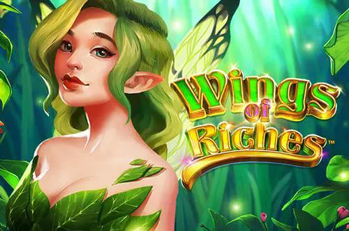 Wings of Riches - Spin City - Namibia