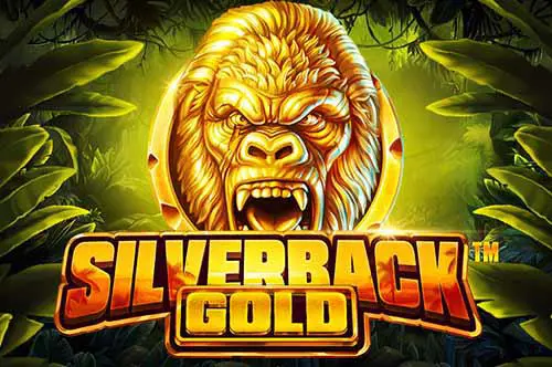 Silverback Gold - Spin City - Namibia