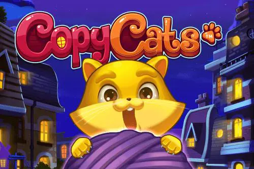 CopyCats - Spin City - Namibia