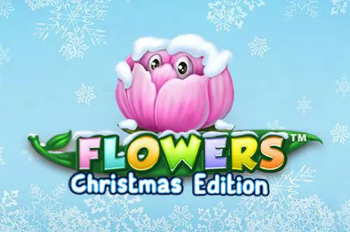 Flowers Christmas Edition - Spin City - Namibia