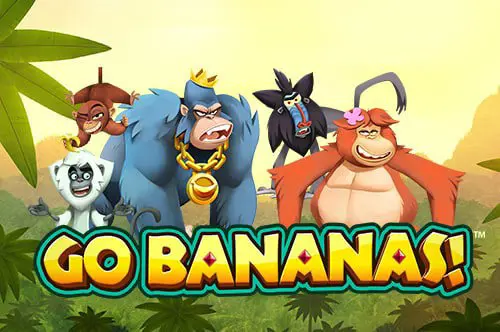 Go Bananas! - Spin City - Namibia
