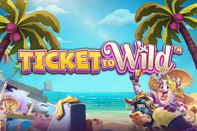 Ticket To Wild - Spin City - Namibia