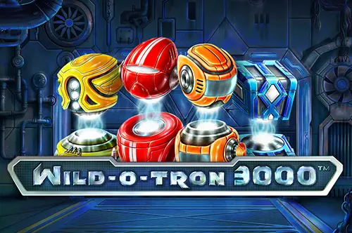 Wild-O-Tron 3000 - Spin City - Namibia
