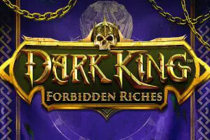 Dark King: Forbidden Riches - Spin City - Namibia