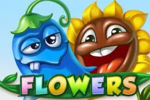 Flowers - Spin City - Namibia