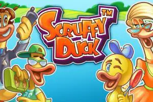 Scruffy Duck - Spin City - Namibia