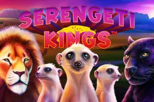 Serengeti Kings - Spin City - Namibia