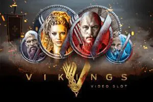 Vikings Video Slot - Spin City - Namibia